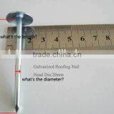 BWG9X2.5" Roofing Nail thumbnail-5