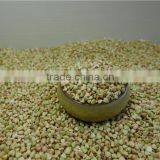 Chinese Best Raw Buckwheat Kernel thumbnail-5