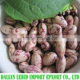 China wholesale dry beans