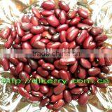 Crop 2015 Chinese Small Red Kidney Beans thumbnail-1