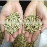 Julie Trading Company Limited company overview - view 2 thumbnail