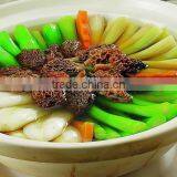 High Quality Dried Morels thumbnail-6