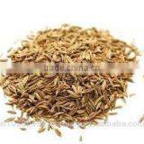 Cumin Seed Oil thumbnail-2