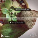 Improve the Quality Machining Performance - the Calcium Silicon Manganese thumbnail-2