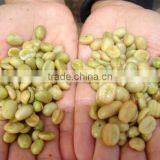 Green Coffee Bean Processing Machine thumbnail-3