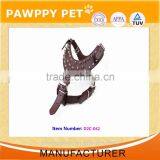 Fashionable Cool Dog Safety Collar