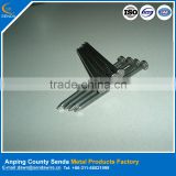 Anping nails factory / low price galvanized iron nails