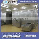 2015 New Design Spiral Conveyor Freezer