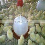 HDPE Poultry Plastic Flat Netting for Broiler Feeding, Duck/ Plastic Plain Net thumbnail-1