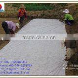 100% PP Spunbonded Non Woven Fabric Used for Agriculture Plant Cover or to Prevent the Weed and so on thumbnail-1