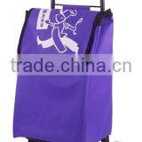 Shopping Trolleys & Carts thumbnail-1