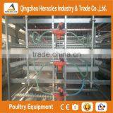 Trade Assurance Automatic Chicken Broiler Cage for Sale thumbnail-2
