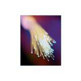 Canada Lucent & Corning Long Haul Fiber Cable thumbnail-1