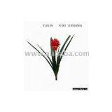 Artificial Vriesea Poelmannii thumbnail-1