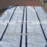 4x6 Durable Waterproof White PE Tarpaulin With Blue Or Black Reinforced Band For Earthquake