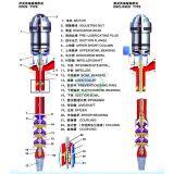 Long Shaft Deep Well Pump thumbnail-4