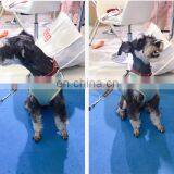 Dog Safety Vest Harness Pet Dog Adjustable Cute Design Chest Strap Breathable Jean Dog Chest Harness thumbnail-5