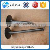 WD615 Engine Intake Valve VG1560051001 for Sinotruk Howo Truck