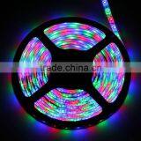 3528 5m 500cm RGB 300 LED SMD Flexible Light Strip Lamp Waterproof DC 12V