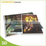 Lenticular Printing 3D Wall Pictures of Japanese Sport Star thumbnail-2
