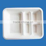 Eco-friendly Disposable Tray From China