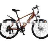 mountain bicycle