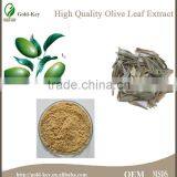 100% Natural Olive Leaf Extract Powder in Bulk thumbnail-3