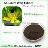 BP2013 St. John's Wort/Hypericum Perforatum Extract St John's Wort/St John Wort Extract thumbnail-2