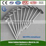 Galvanized roofing nail / roofing nails / corrugated roofing nails manufacturers in ANPING