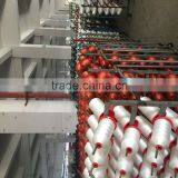 1.25kg/cone or per Your Request Sewing Thread for Best Price thumbnail-6