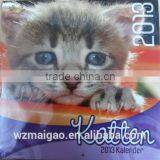 Hot Sale 2014 Calendar With Cute Cate Designs