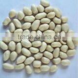 2014 Crop ,Blanched Peanut Kernels, Long Size and Round Size thumbnail-5