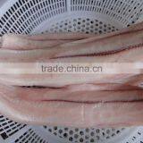 Extra well frozen fish fillet with good quality