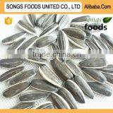 Best Quality Sunflwoer Seeds Factory thumbnail-1