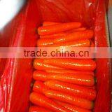 Baby Carrot/china Origin thumbnail-1