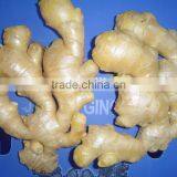 Fresh Ginger Needed thumbnail-1