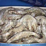 Frozen Vannamei Shrimp Price thumbnail-2