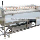 PX-1500 Powerful Root Vegetable Washing and Polishing Machine thumbnail-2