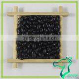 Raw Black Beans 500-550Pcs/100G Chinese Wholesales