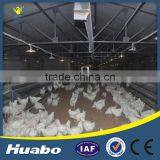 Rich Experience Chicken Farm Equipment Automatic Egg Laying Nest