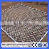 Diamond Hole/Square Hole Galvanized and Pvc Concertina Razor Wire Fence (Guangzhou Factory) thumbnail-1