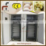 commercial incubators for hatching eggs