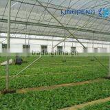 Agricultural Plastic Film Greenhouse With Arch Roof thumbnail-3