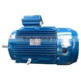 NEMA Standard TEFC Ball Bearing IP55 Protection Three Phase Electric Motor thumbnail-1