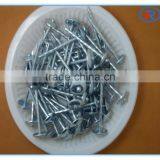 China Roofing Nail With Washer/Umbrella Roofing Nails thumbnail-5