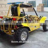 Beach Buggy Price thumbnail-2