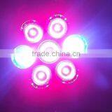 Online Led Lighting Shop Sell Lights Used to Grow Plants That Grow From Bulbs thumbnail-4