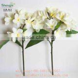 Decorative Artificial Flowers ,fake Flower,artificial Frangipani Flower thumbnail-2