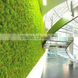 Home Garden China Decoration 100cmx200cm Black Mat Artificial Plant Holland Moss Carpet EZMD03 0209 thumbnail-1