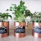 Iron Metal Copper Coloure Planters thumbnail-1